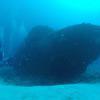 Picture taken during the dive