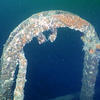 Picture taken during the dive