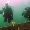 Picture taken during the dive