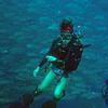 Picture taken during the dive