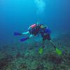 Picture taken during the dive