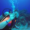 Picture taken during the dive