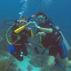 Picture taken during the dive