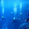 Picture taken during the dive