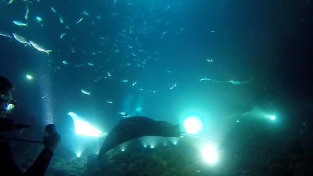 Jack's Diving Locker - Dive Center in United States