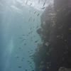 Picture taken during the dive