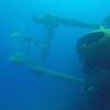 Picture taken during the dive