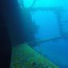 Picture taken during the dive