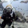Picture taken during the dive