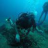 Picture taken during the dive