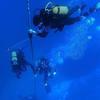 Picture taken during the dive