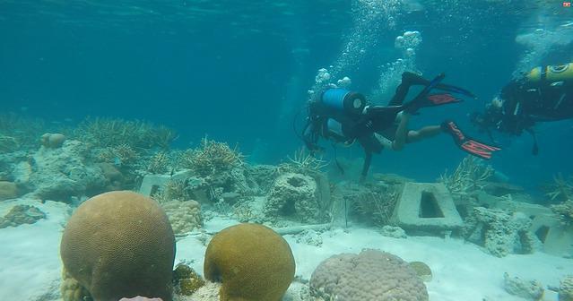 Diving in Indonesia, Pulau Tidung - By Arcen