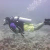 Picture taken during the dive