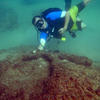 Picture taken during the dive