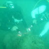 Picture taken during the dive