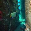 Picture taken during the dive