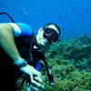 Picture taken during the dive