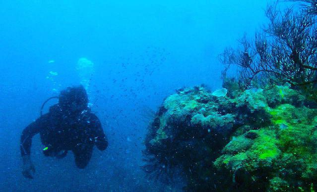 Polis Diving Centre - Dive Center