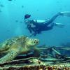 #