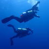 Picture taken during the dive