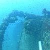 Picture taken during the dive