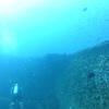 Picture taken during the dive