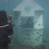 Picture taken during the dive