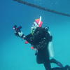 Picture taken during the dive
