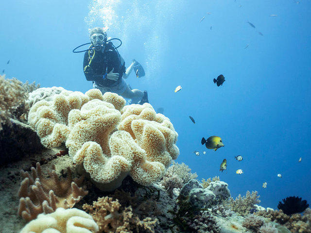 Manta Dive Gili Air - Dive Center in Indonésie