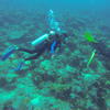Picture taken during the dive