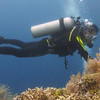 Picture taken during the dive