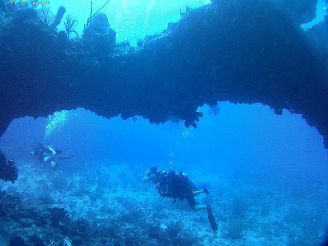 Cayman Turtle Divers - Dive Center in Cayman Islands