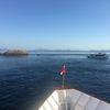 Picture taken during the dive