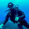 Picture taken during the dive