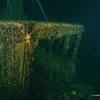 Picture taken during the dive