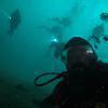 Picture taken during the dive