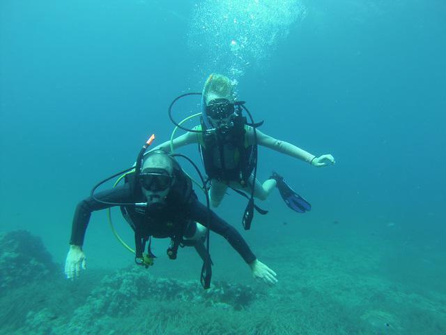 Octopus Diving Center - Dive Center in Greece