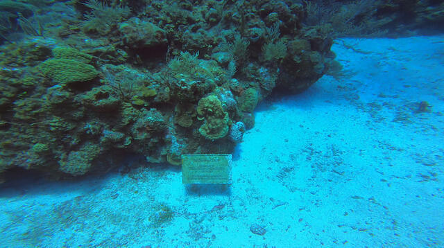 Diving in Honduras, Roatan - By Mr.Red