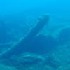 Picture taken during the dive