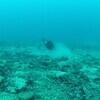 Picture taken during the dive