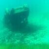 Picture taken during the dive