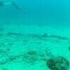 Picture taken during the dive