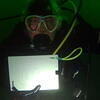 Picture taken during the dive