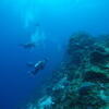 Picture taken during the dive