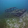 Picture taken during the dive