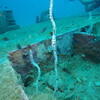 Picture taken during the dive