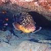 Picture taken during the dive