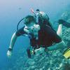 Picture taken during the dive