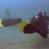 Picture taken during the dive