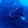 Picture taken during the dive